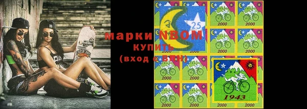индика Новодвинск