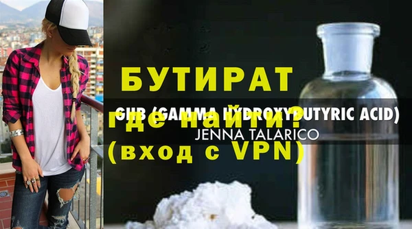 индика Новодвинск