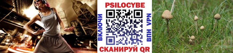 Галлюциногенные грибы мицелий  купить  сайты  Нижняя Тура 